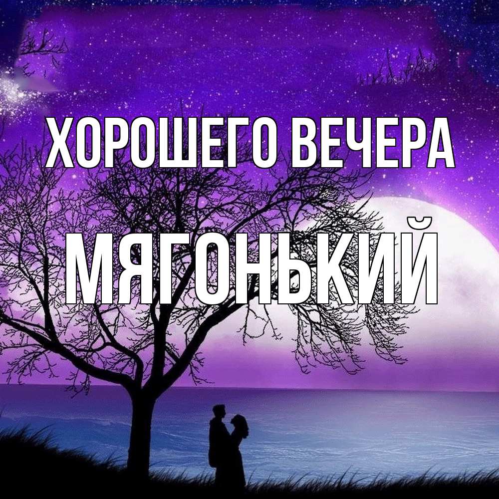 Открытка  для любимых и родных. мягонький, Хорошего вечера  