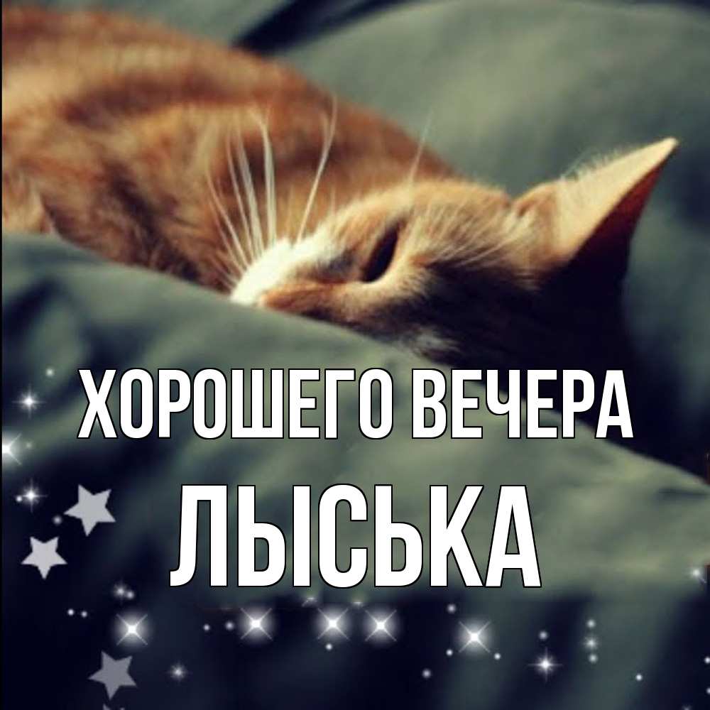 Картинка Хорошего вечера, лыська