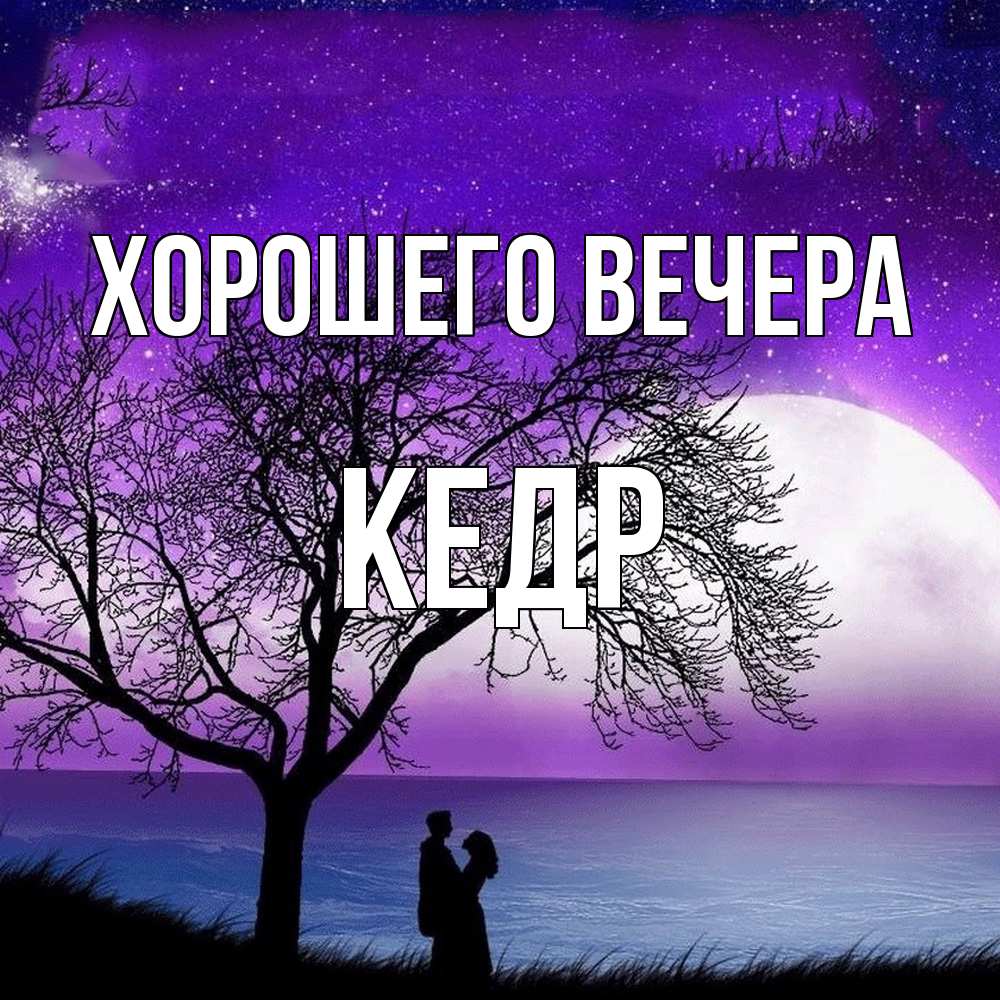 Открытка  для любимых и родных. кедр, Хорошего вечера  