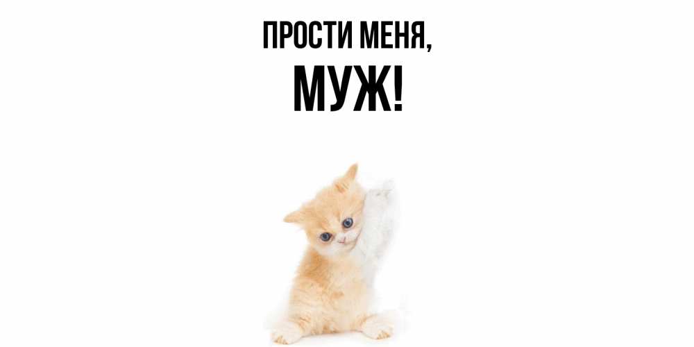 Картинка Прости меня, Муж