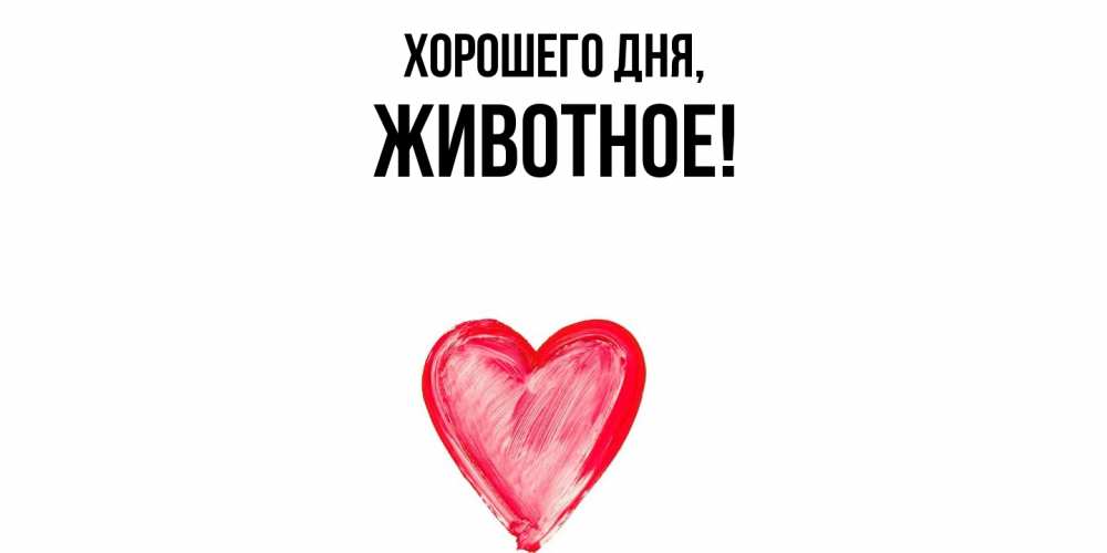 Картинка Хорошего дня, животное