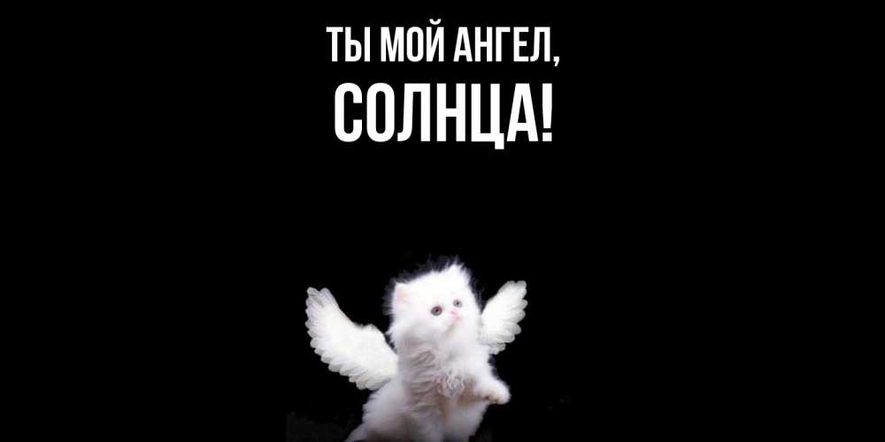 Картинка Ты мой ангел, солнца