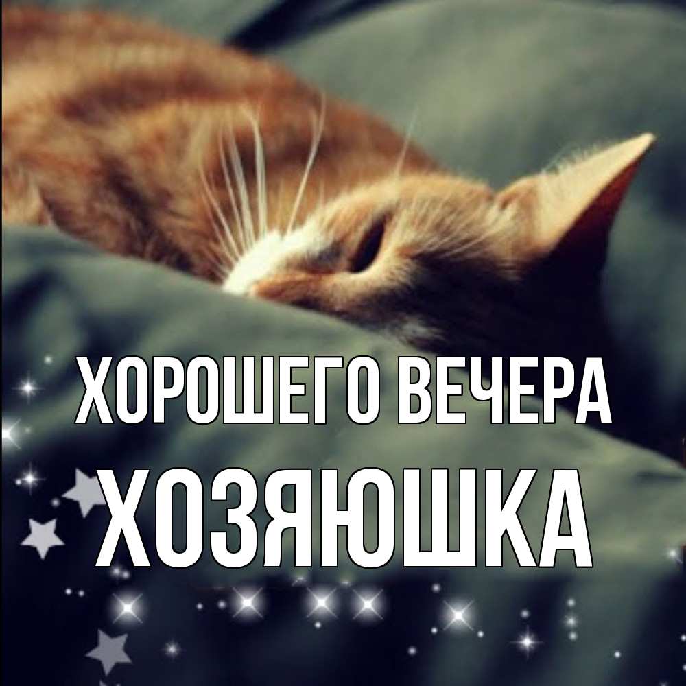 Картинка Хорошего вечера, хозяюшка