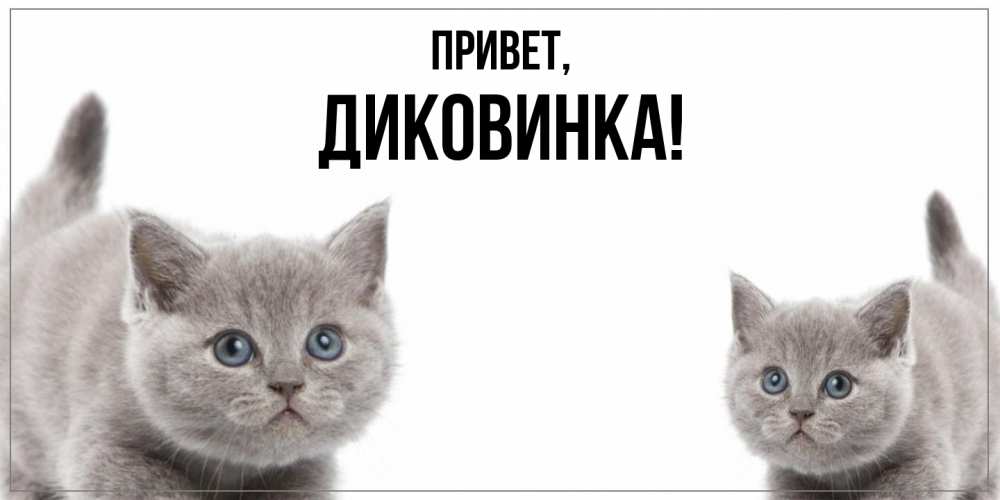 Открытка с именем, диковинка, Привет