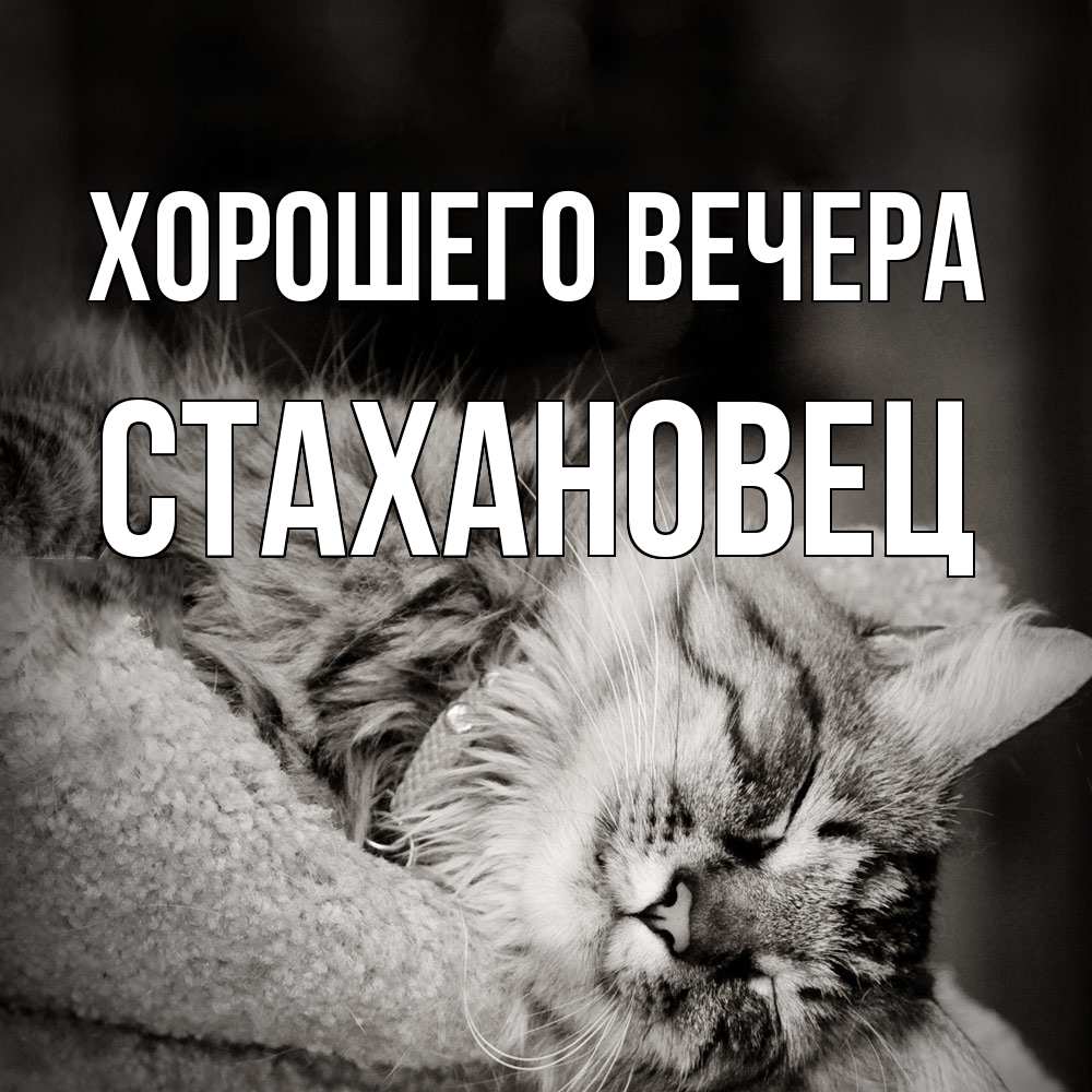 Картинка Хорошего вечера, стахановец