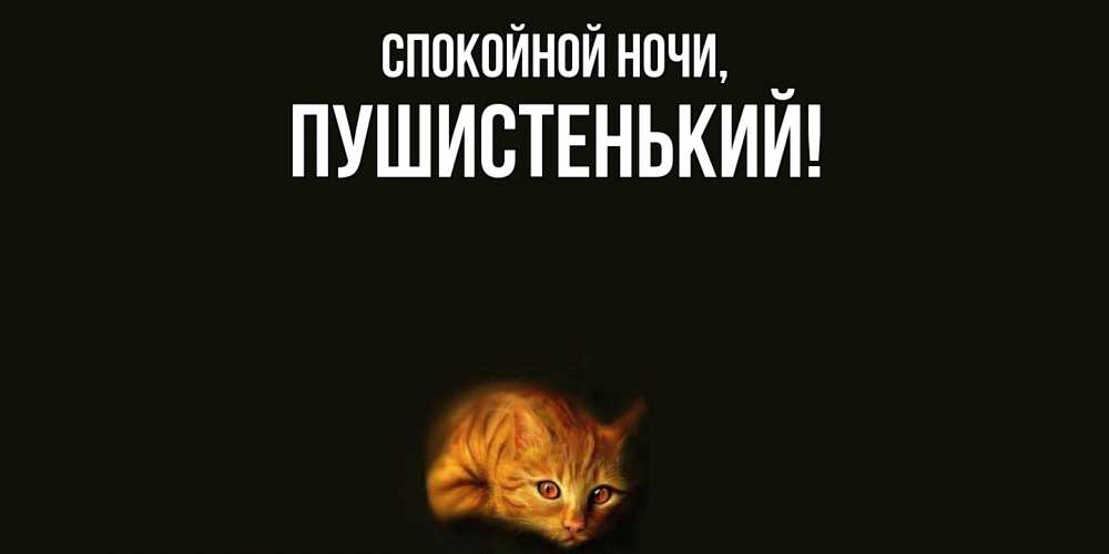 Открытка  для любимых и родных. пушистенький, Спокойной ночи  