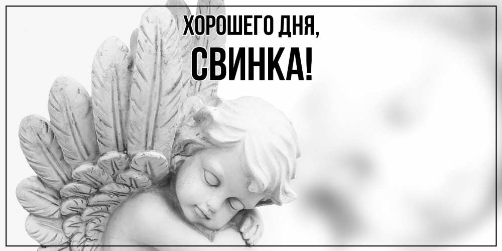 Открытка  для любимых и родных. свинка, Хорошего дня  