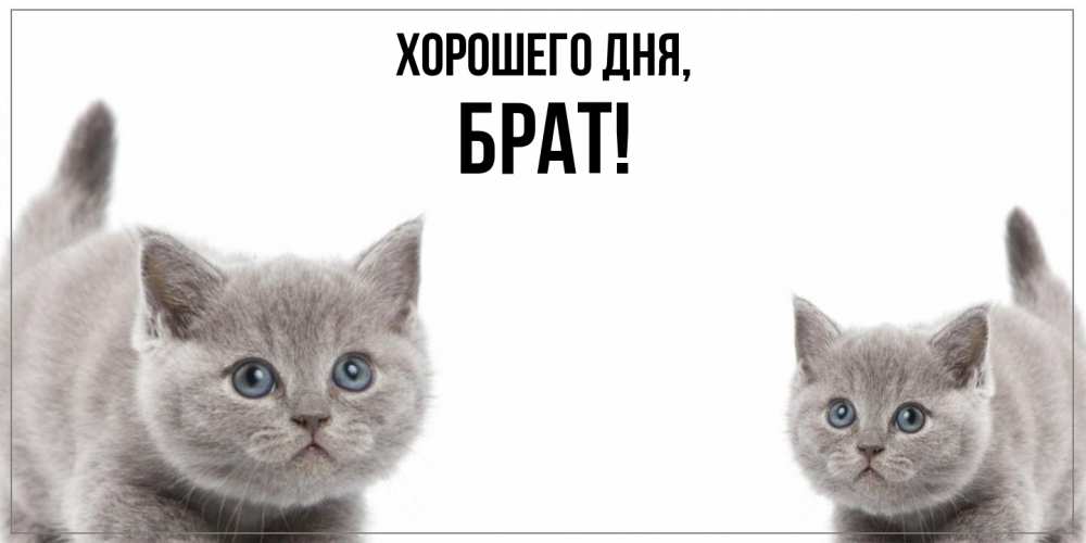 Картинка Хорошего дня, Брат