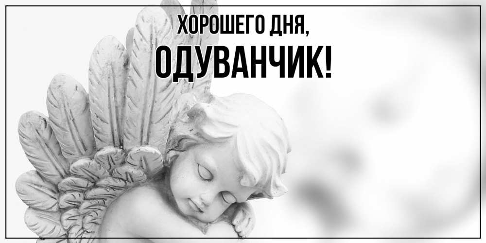 Открытка  для любимых и родных. одуванчик, Хорошего дня  