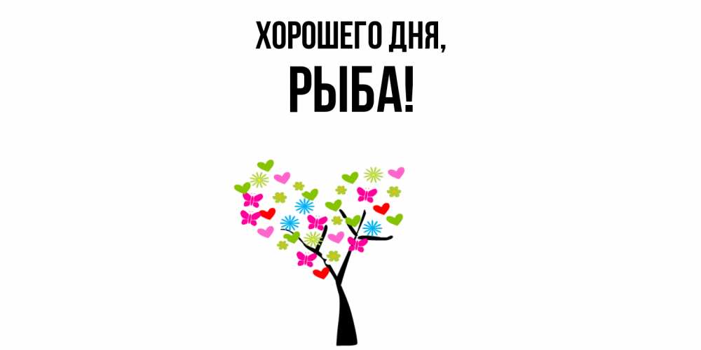 Открытка  для любимых и родных. рыба, Хорошего дня  