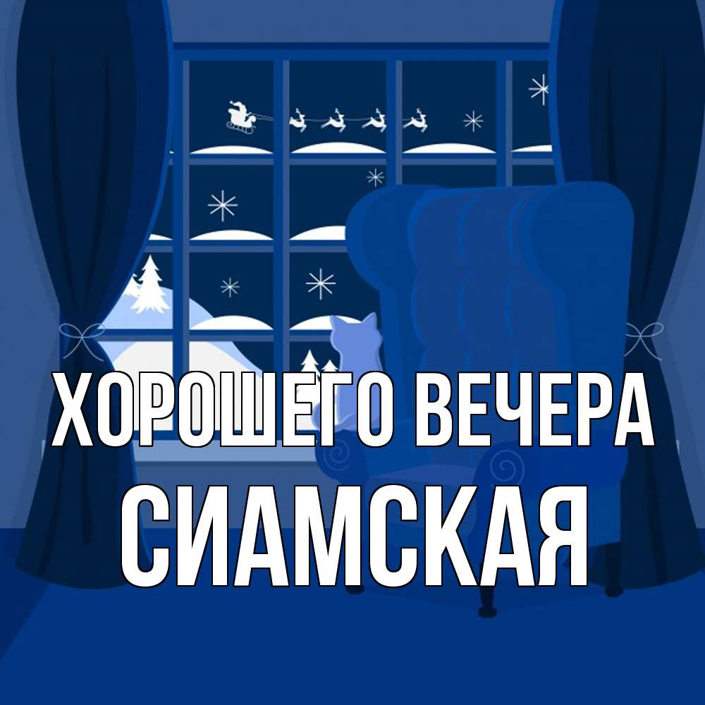 Открытка  для любимых и родных. сиамская, Хорошего вечера  