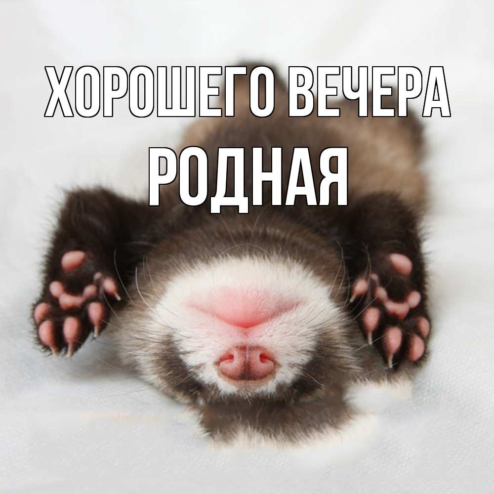 Открытка  для любимых и родных. родная, Хорошего вечера  