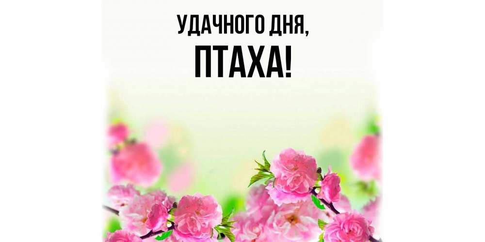 Открытка  для любимых и родных. птаха, Удачного дня  