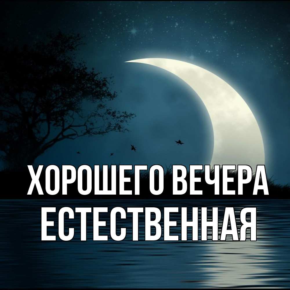Открытка  для любимых и родных. естественная, Хорошего вечера  