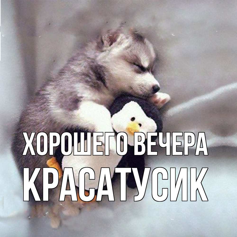 Открытка  для любимых и родных. красатусик, Хорошего вечера  