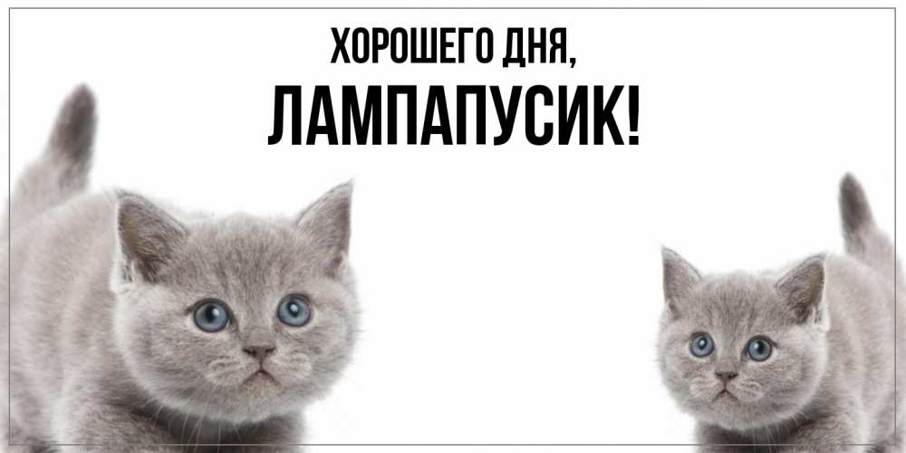 Открытка  для любимых и родных. лампапусик, Хорошего дня  
