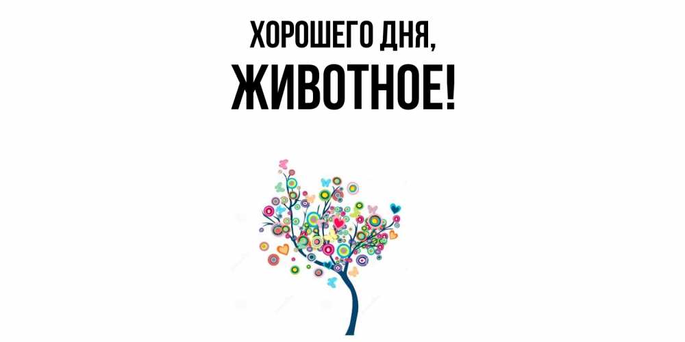 Картинка Хорошего дня, животное