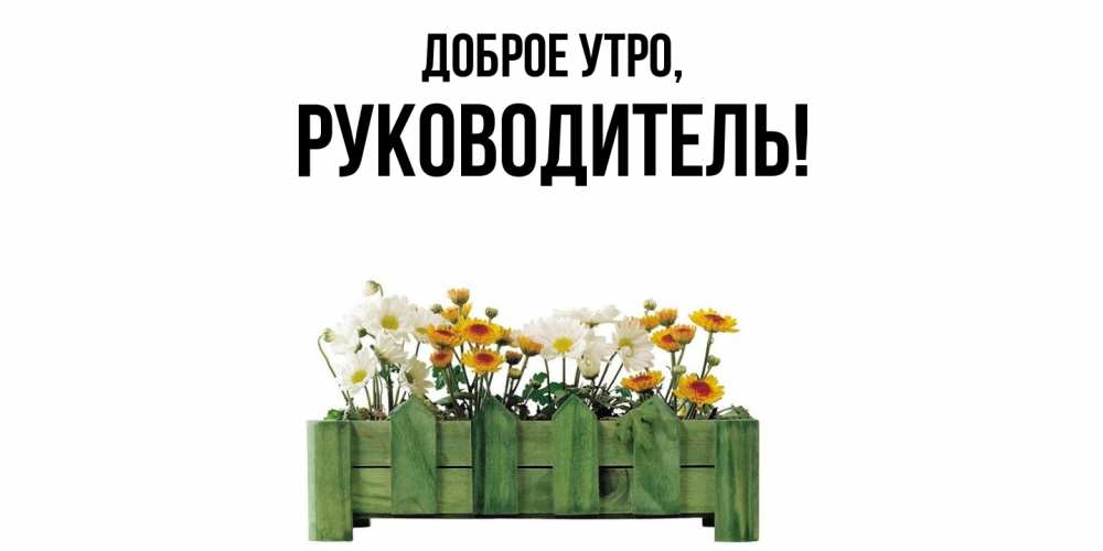 Картинка Доброе утро, Руководитель