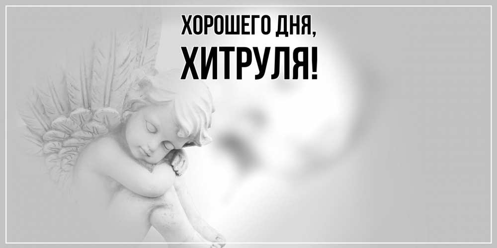 Открытка  для любимых и родных. хитруля, Хорошего дня  
