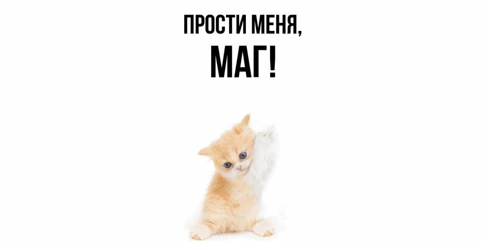Картинка Прости меня, маг