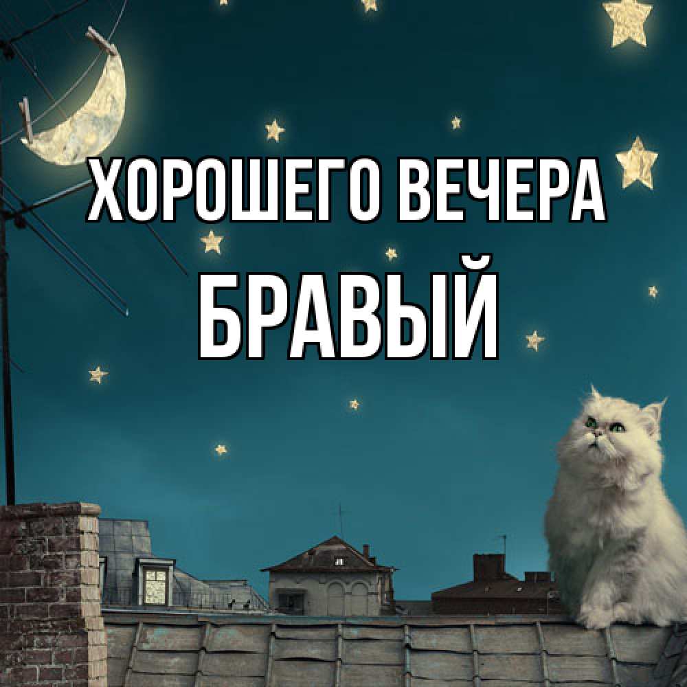 Картинка Хорошего вечера, бравый
