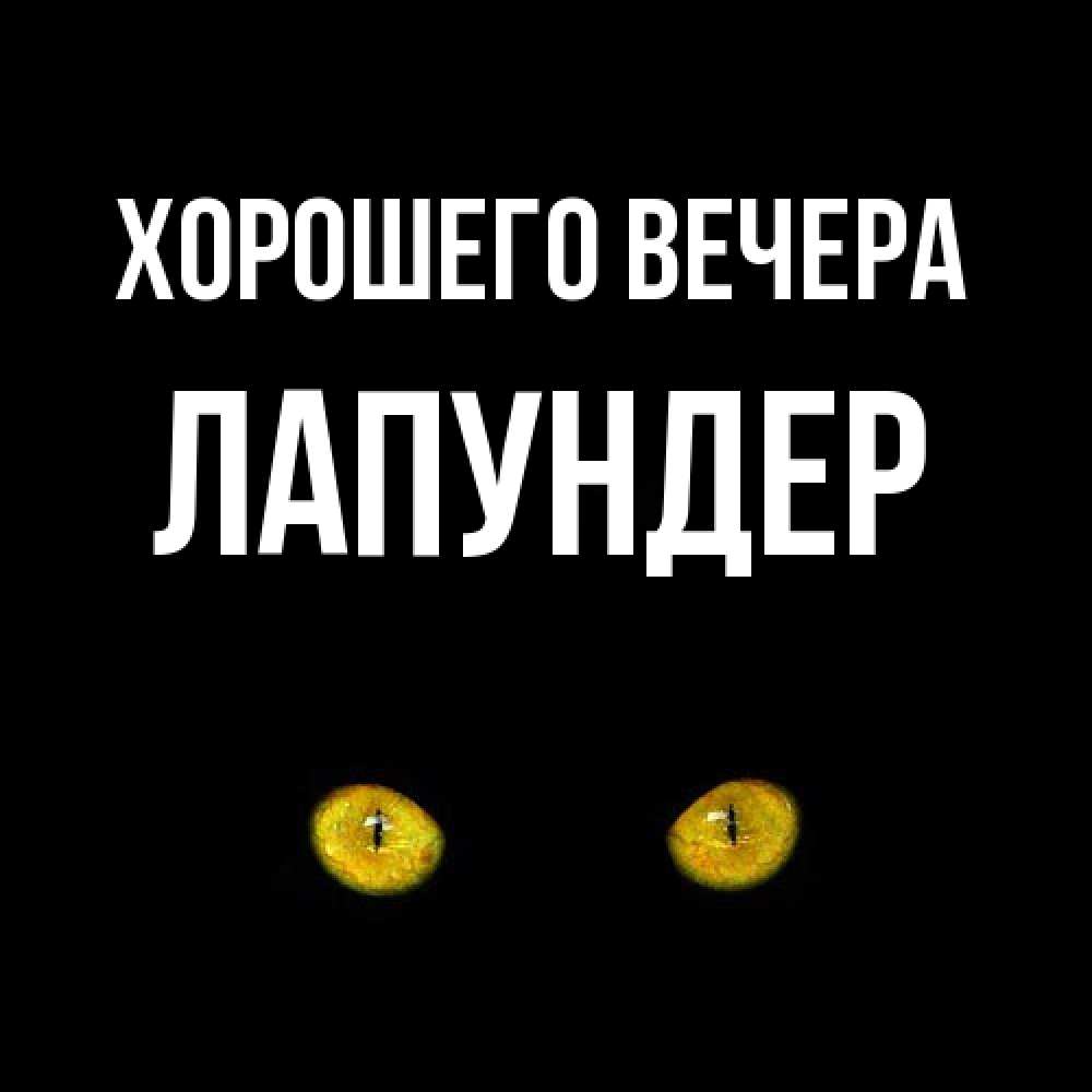 Картинка Хорошего вечера, лапундер