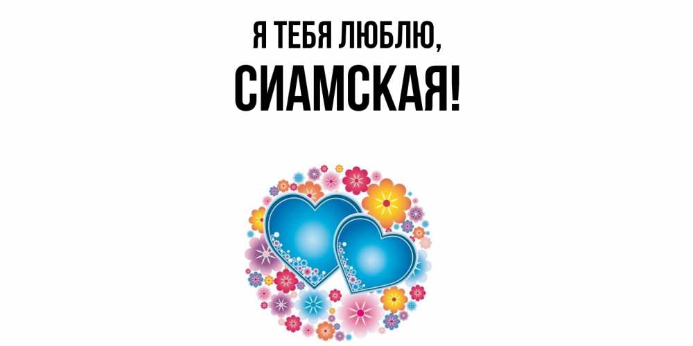 Картинка Я тебя люблю, сиамская