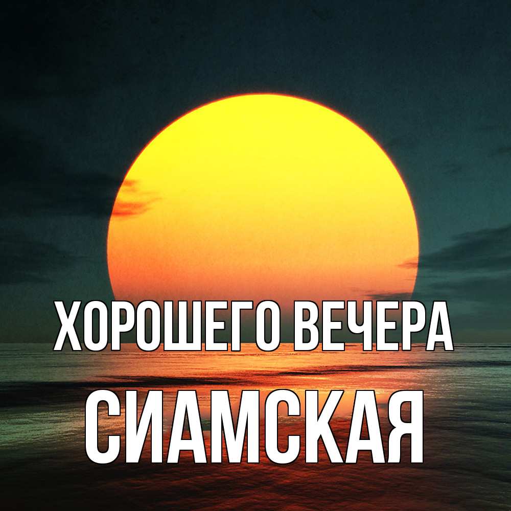 Картинка Хорошего вечера, сиамская