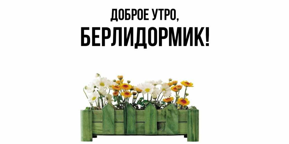 Открытка  для любимых и родных. берлидормик, Доброе утро  