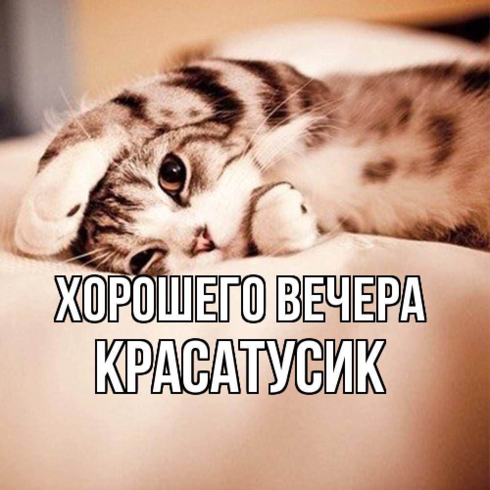 Открытка  для любимых и родных. красатусик, Хорошего вечера  