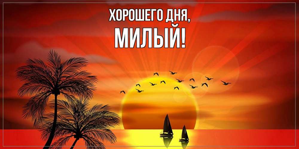 Открытка  для любимых и родных. милый, Хорошего дня  