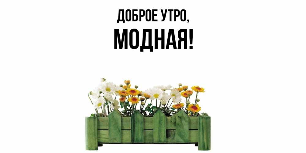 Картинка Доброе утро, модная