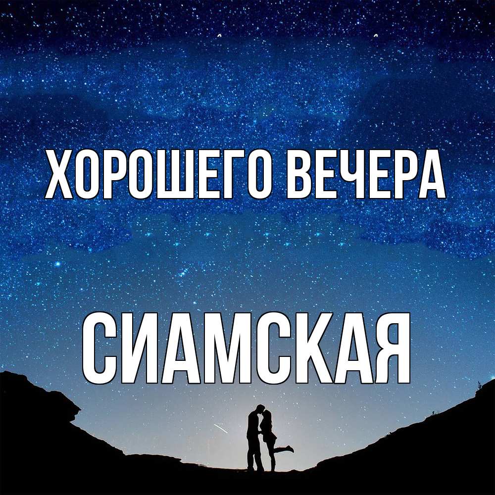 Картинка Хорошего вечера, сиамская