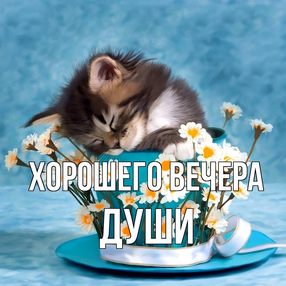 Картинка Хорошего вечера, души