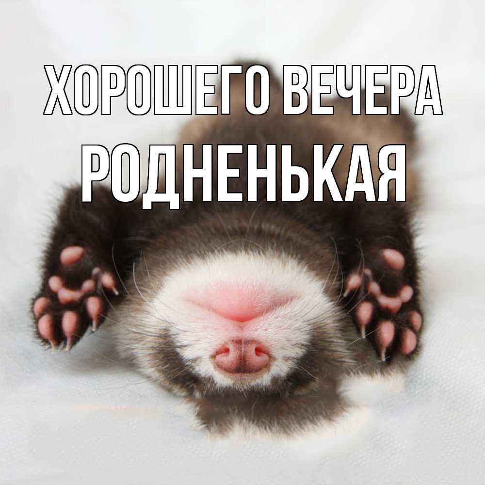Открытка  для любимых и родных. родненькая, Хорошего вечера  