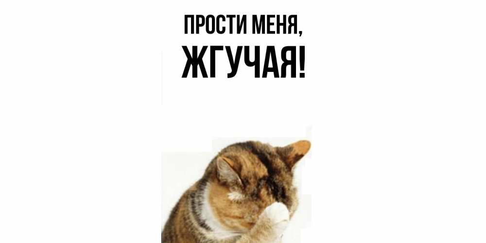 Открытка  для любимых и родных. жгучая, Прости меня  