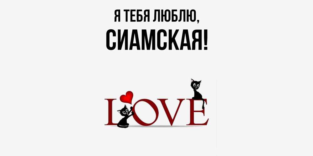 Картинка Я тебя люблю, сиамская