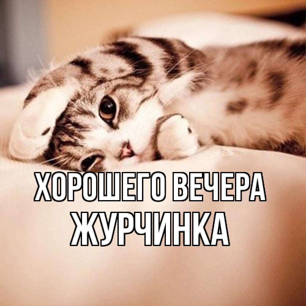 Открытка  для любимых и родных. журчинка, Хорошего вечера  