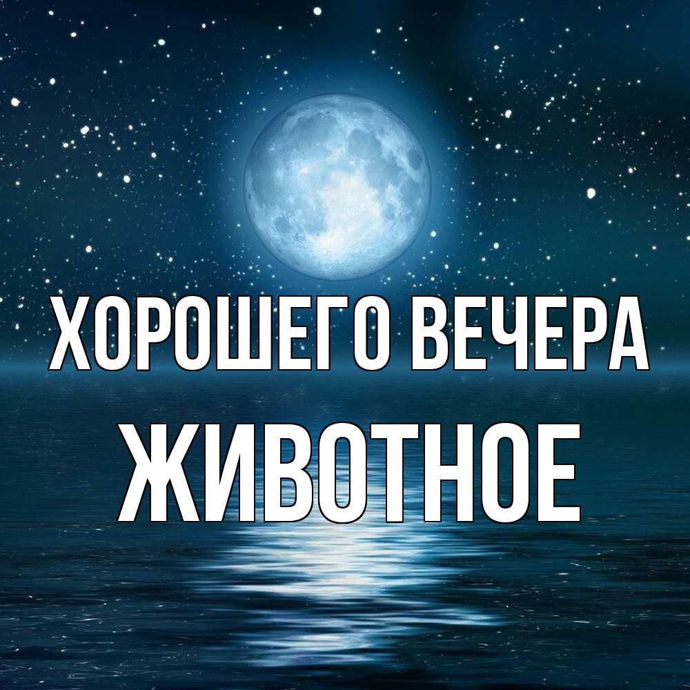 Картинка Хорошего вечера, животное