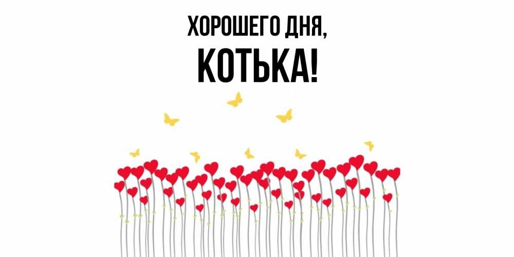 Открытка  для любимых и родных. котька, Хорошего дня  