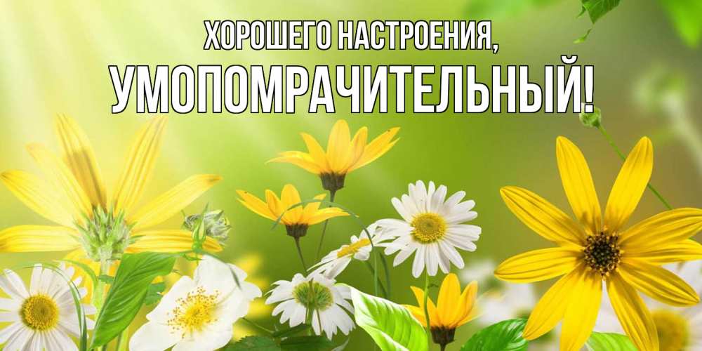 Картинка Хорошего настроения, умопомрачительный