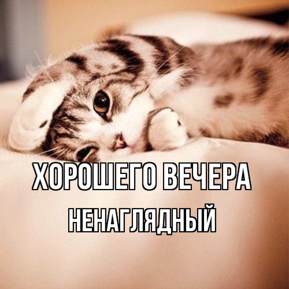Картинка Хорошего вечера, ненаглядный