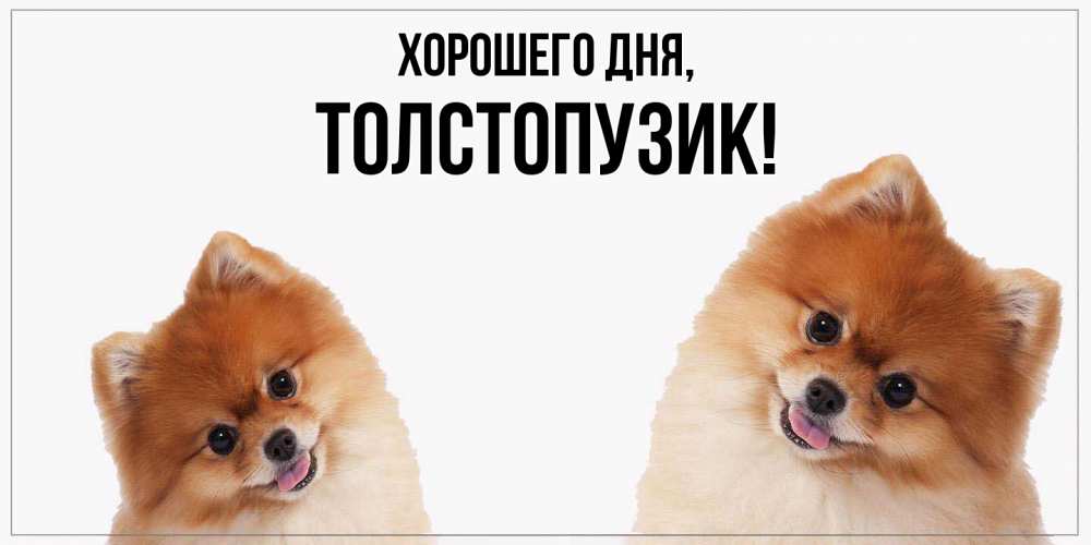 Открытка  для любимых и родных. толстопузик, Хорошего дня  