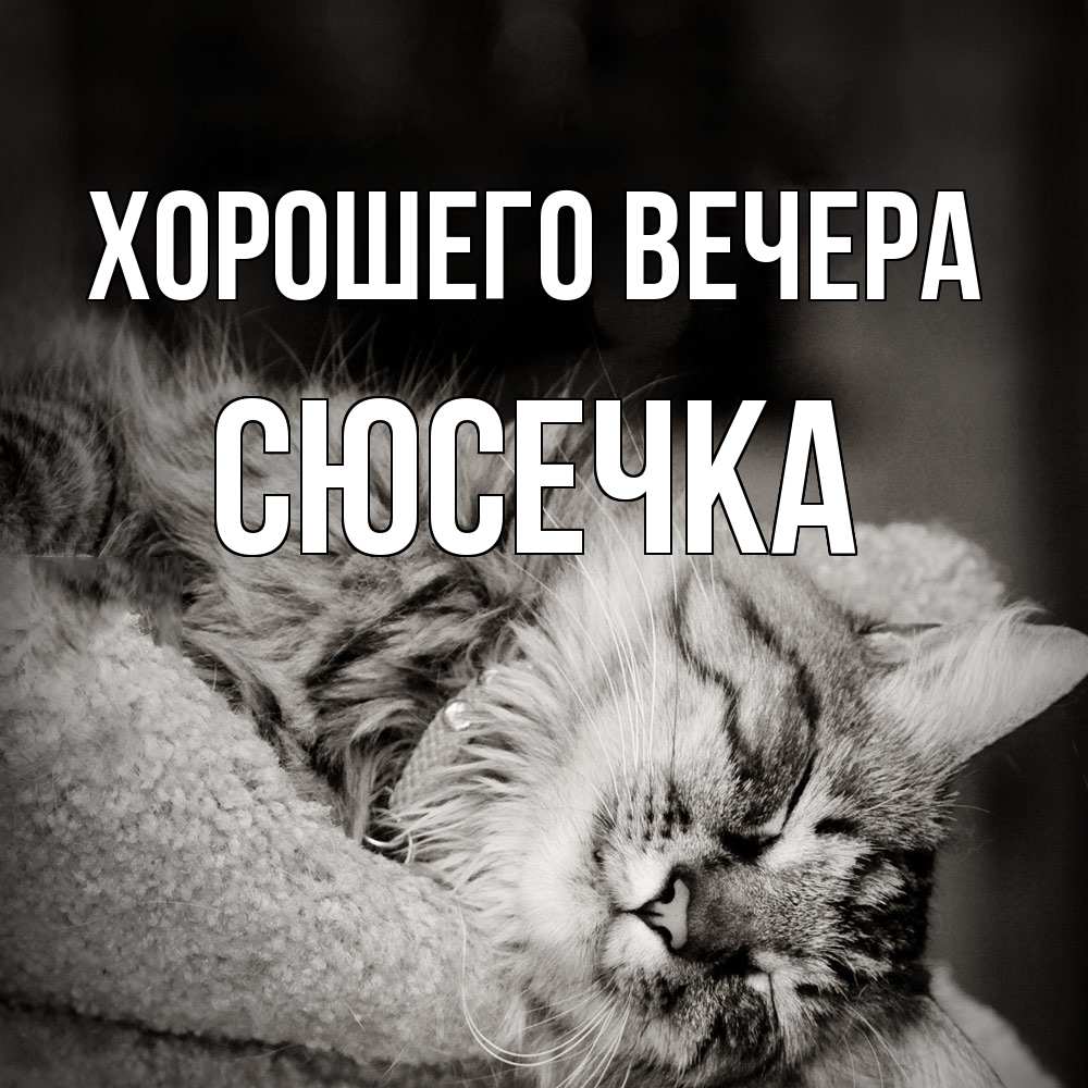 Картинка Хорошего вечера, сюсечка