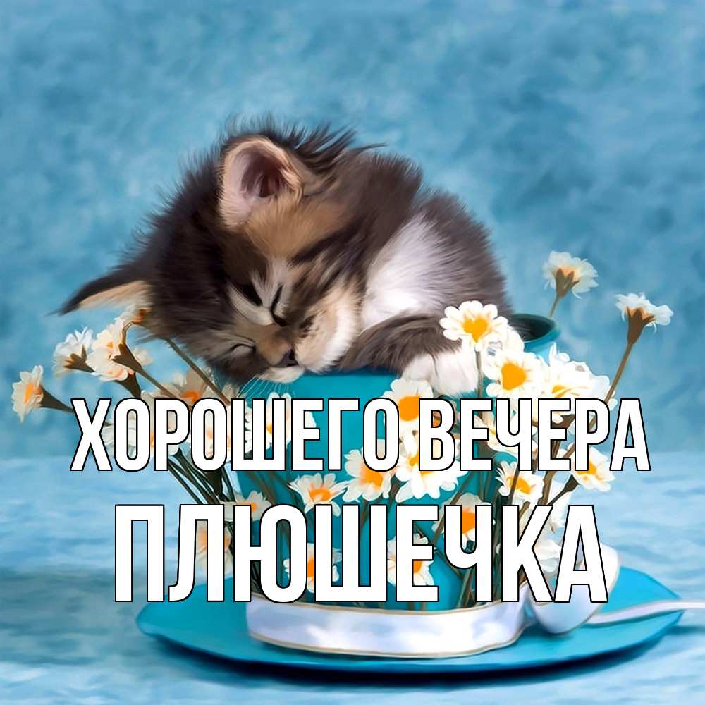 Открытка  для любимых и родных. плюшечка, Хорошего вечера  