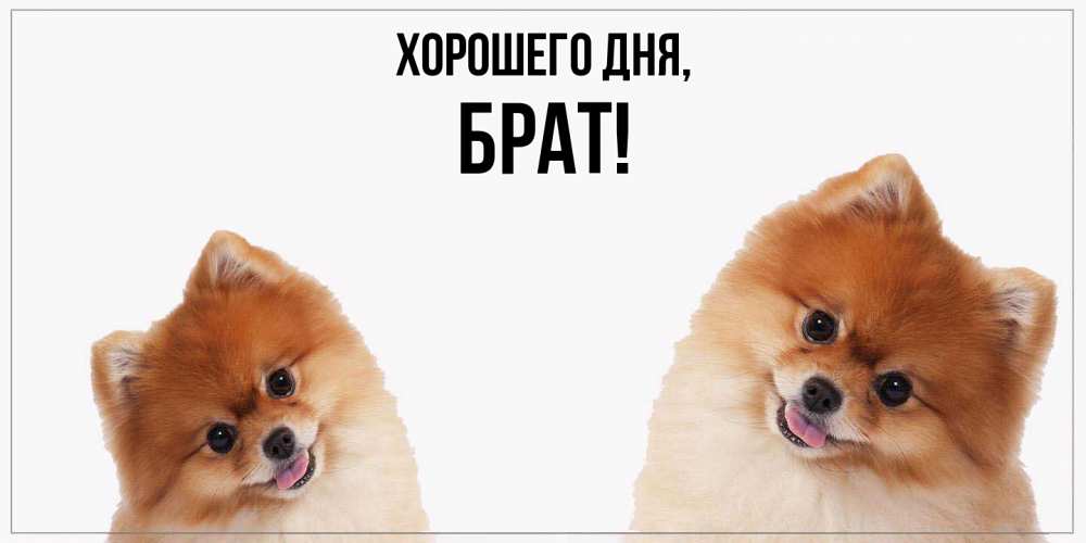 Картинка Хорошего дня, Брат