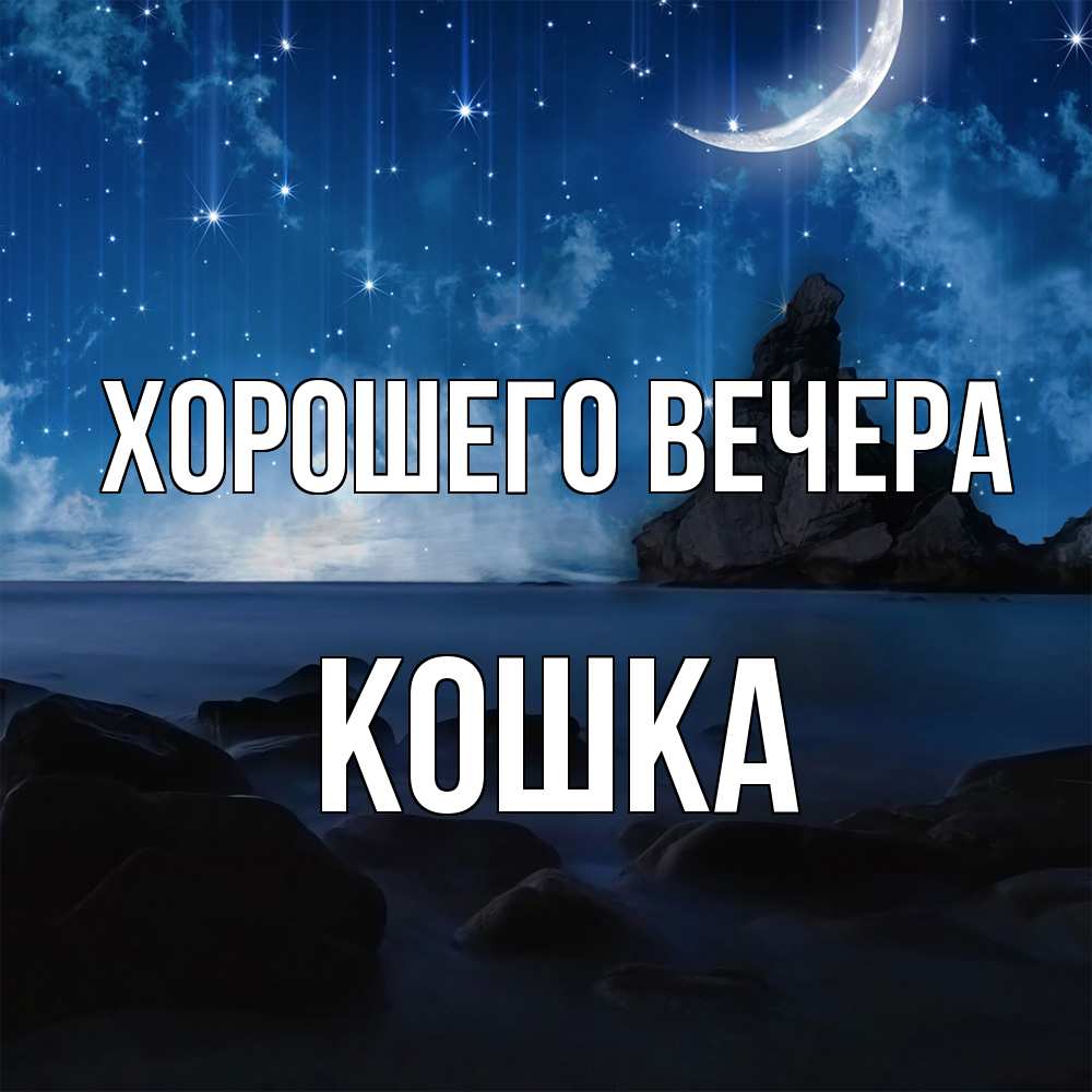 Открытка  для любимых и родных. кошка, Хорошего вечера  