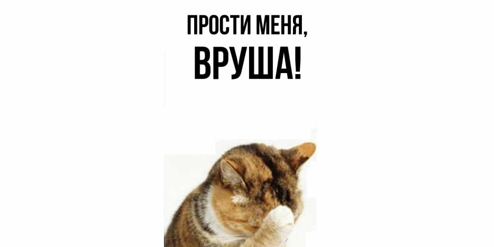 Картинка Прости меня, вруша