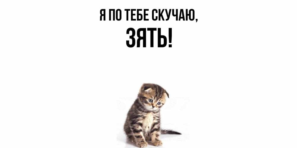 Картинка Я по тебе скучаю, Зять