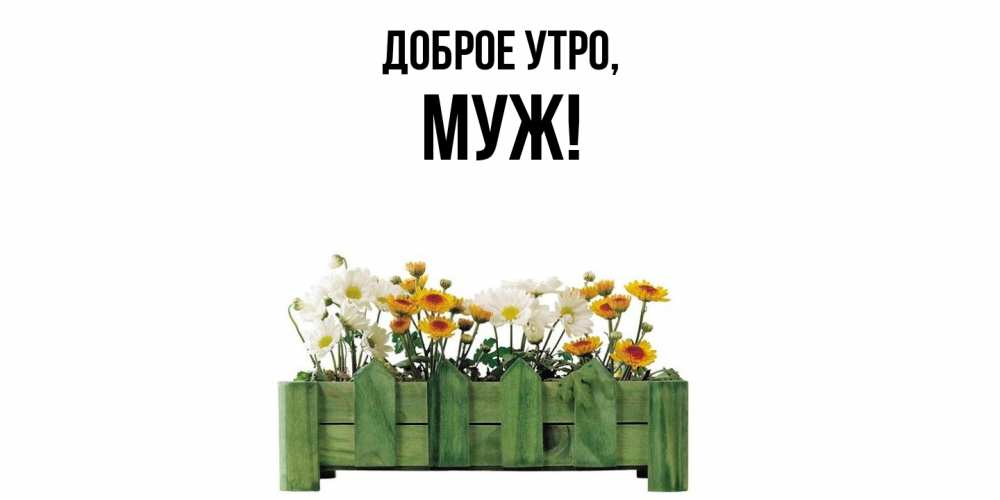 Открытка  для любимых и родных. Муж, Доброе утро  
